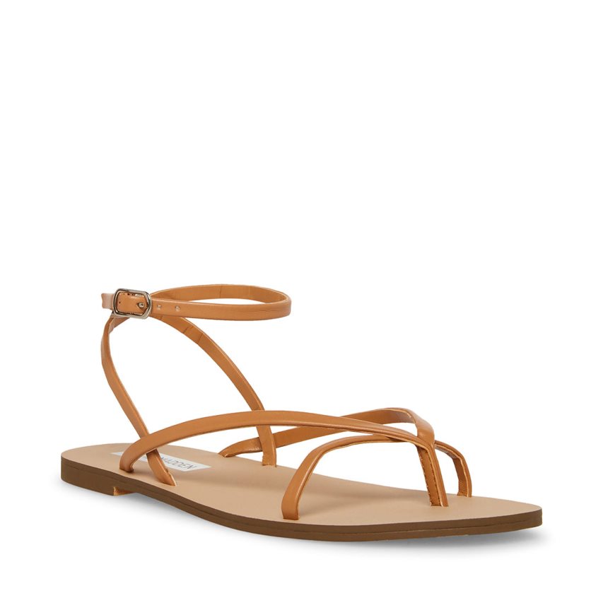 Brown Steve Madden Amuse Women's Flat Sandals | PH 4701KIZ